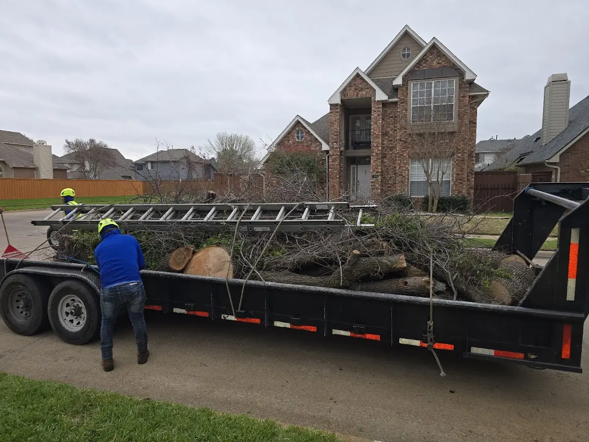 Expert Tree Fertilization with proper safety equipment in Mertzon